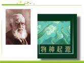 人教版八下生物  7.3.3生物进化的原因 课件