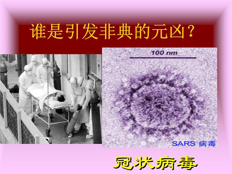 人教版八下生物  8.1.1传染病及其预防 课件05