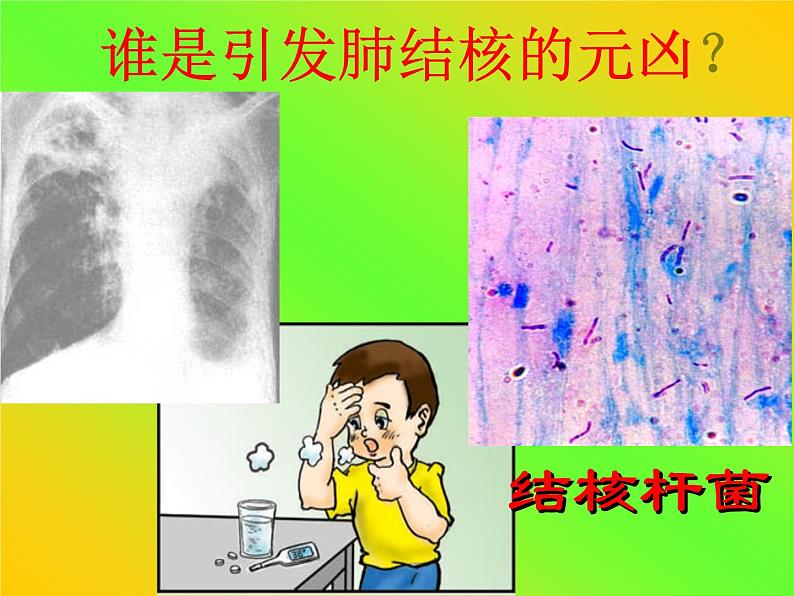 人教版八下生物  8.1.1传染病及其预防 课件07