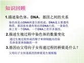 人教版八下生物  7.2.3基因的显性和隐性 课件