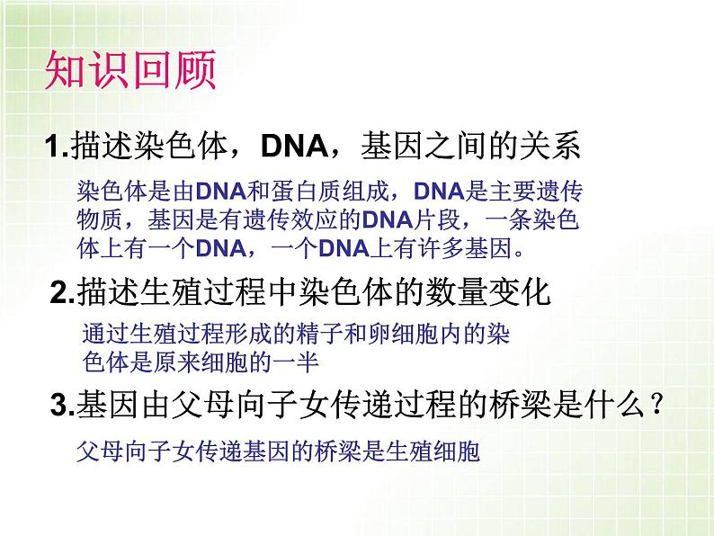 人教版八下生物  7.2.3基因的显性和隐性 课件02