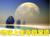 人教版八下生物  7.3.1地球上生命的起源 课件