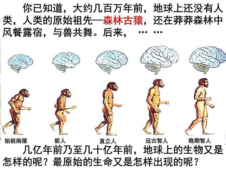 人教版八下生物  7.3.1地球上生命的起源 课件03