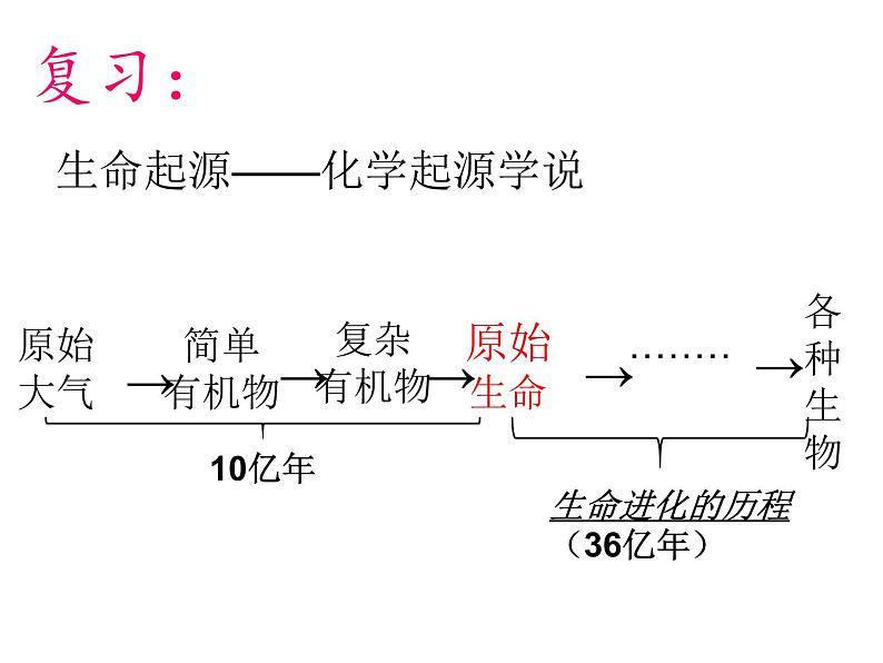 人教版八下生物  7.3.2生物进化的历程 课件01