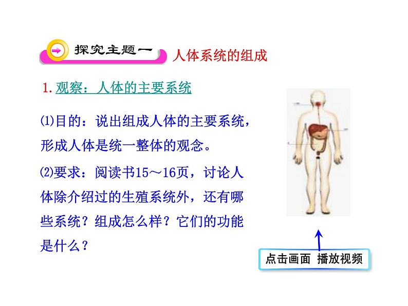 苏教版七下生物 8.3人体概述 课件04