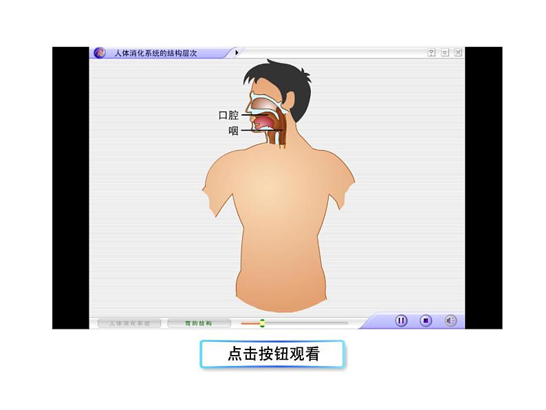 苏教版七下生物 8.3人体概述 课件06