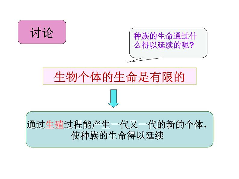 苏教版七下生物 8.2人的生长发育和青春期 课件02