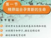 苏教版七下生物 8.2人的生长发育和青春期 课件