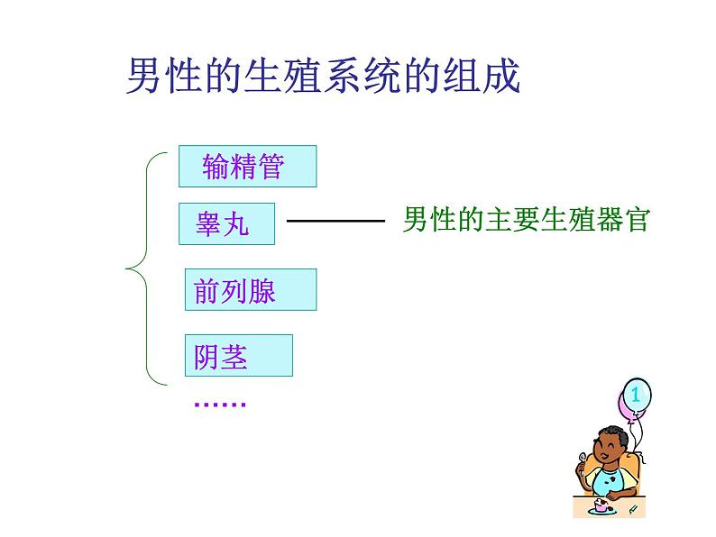 苏教版七下生物 8.2人的生长发育和青春期 课件06