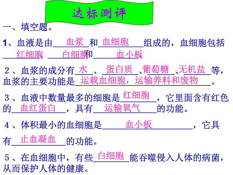 苏教版七下生物 10.1血液和血型 课件06