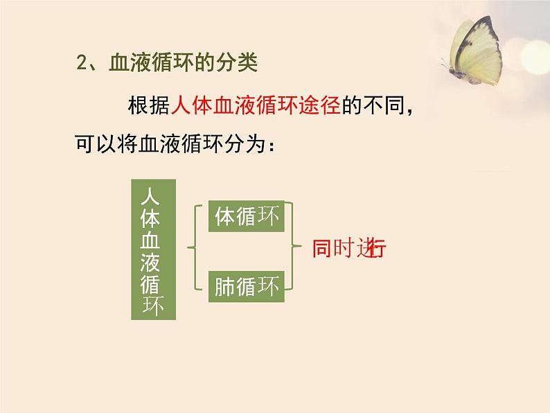 苏教版七下生物 10.2人体内的血液循环 课件07