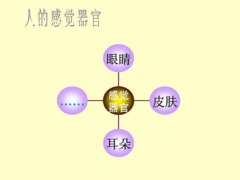 苏教版七下生物 12.3人体感知信息 课件第3页