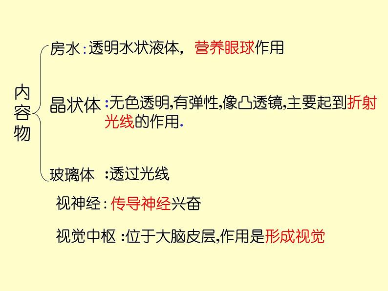 苏教版七下生物 12.3人体感知信息 课件第6页