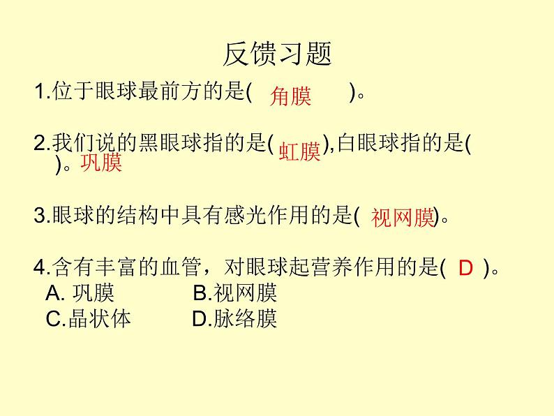 苏教版七下生物 12.3人体感知信息 课件第7页