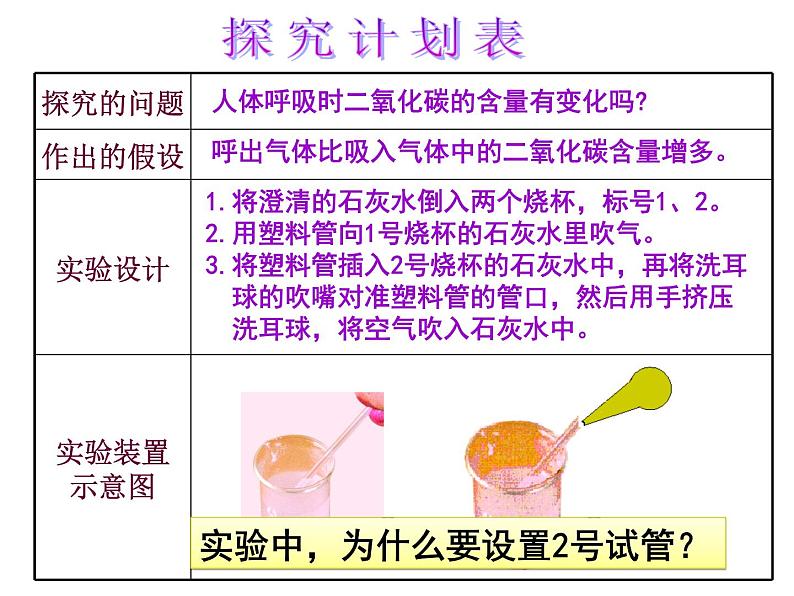 苏教版七下生物 10.4人体内的气体交换 课件第6页