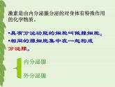 苏教版七下生物 12.1人体的激素调节 课件