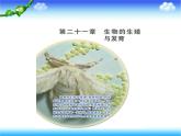 苏教版八下生物 21.1生物的无性生殖 课件