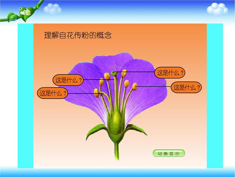 苏教版八下生物 21.2植物的有性生殖 课件04