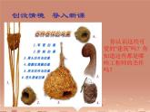 苏教版八下生物 21.5鸟类的生殖与发育 课件