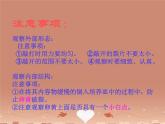 苏教版八下生物 21.5鸟类的生殖与发育 课件