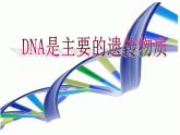 苏教版八下生物 22.1DNA是主要的遗传物质 课件