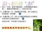 苏教版八下生物 22.1DNA是主要的遗传物质 课件