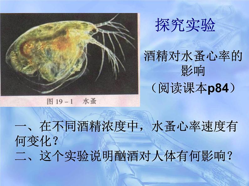 苏教版八下生物 26.1远离烟酒 课件第6页