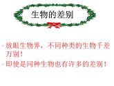 苏教版八下生物 22.5生物的变异 课件