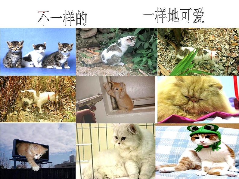 苏教版八下生物 22.5生物的变异 课件05