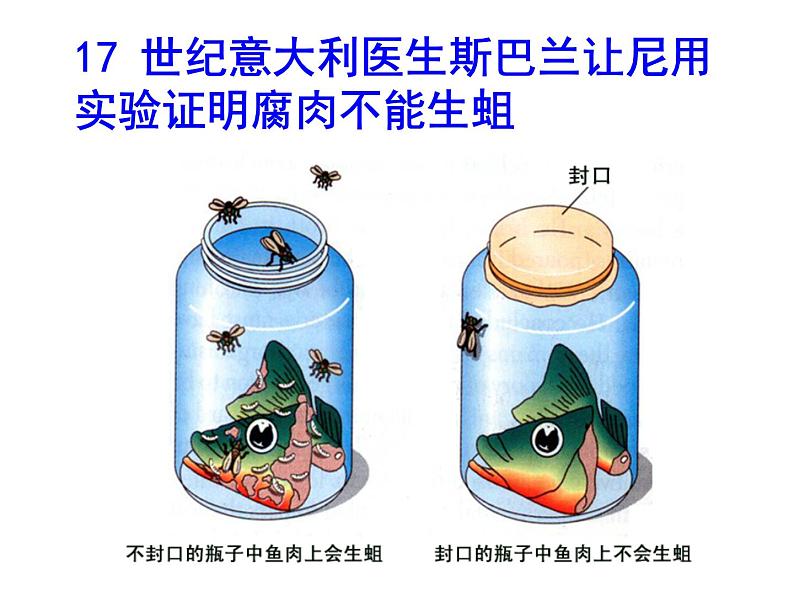 苏科版八下生物  23.1 生命的起源 课件第7页