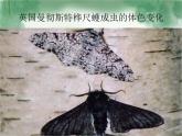 苏科版八下生物  23.3 生物进化的原因 课件