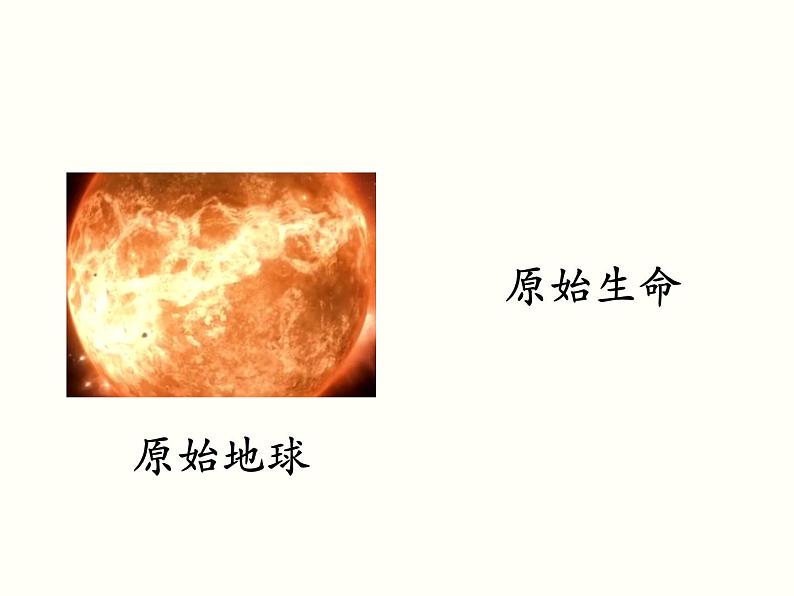 苏科版八下生物  23.2 生物进化的历程 课件01