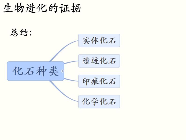 苏科版八下生物  23.2 生物进化的历程 课件08