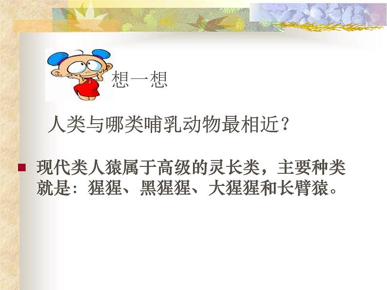 苏科版八下生物  23.4 人类的起源和进化 课件第3页