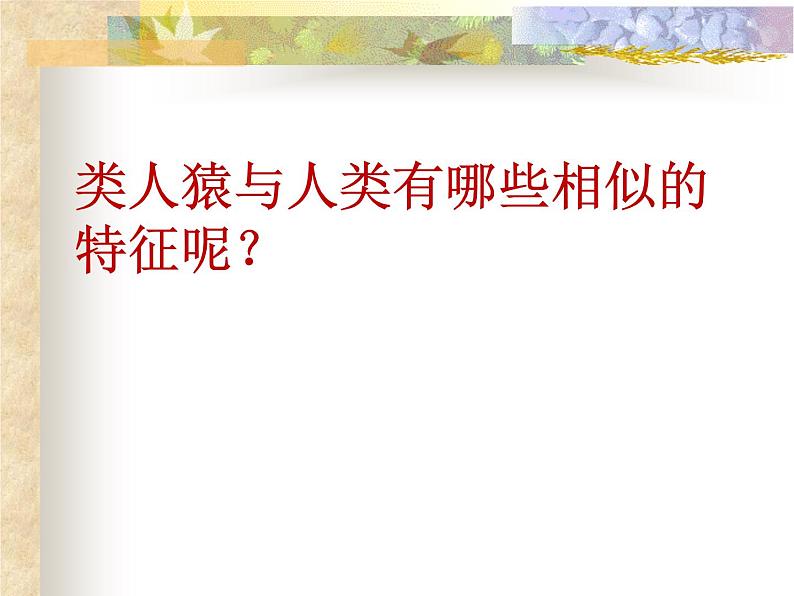 苏科版八下生物  23.4 人类的起源和进化 课件第8页