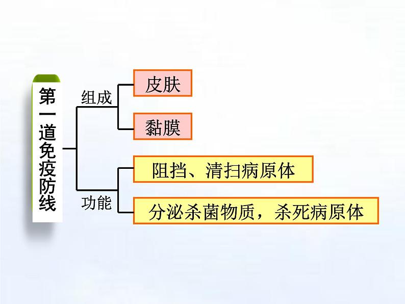 苏科版八下生物  24.1 人体的免疫防线 课件02