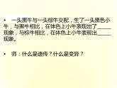 苏科版八下生物  22.1 生物的遗传 课件