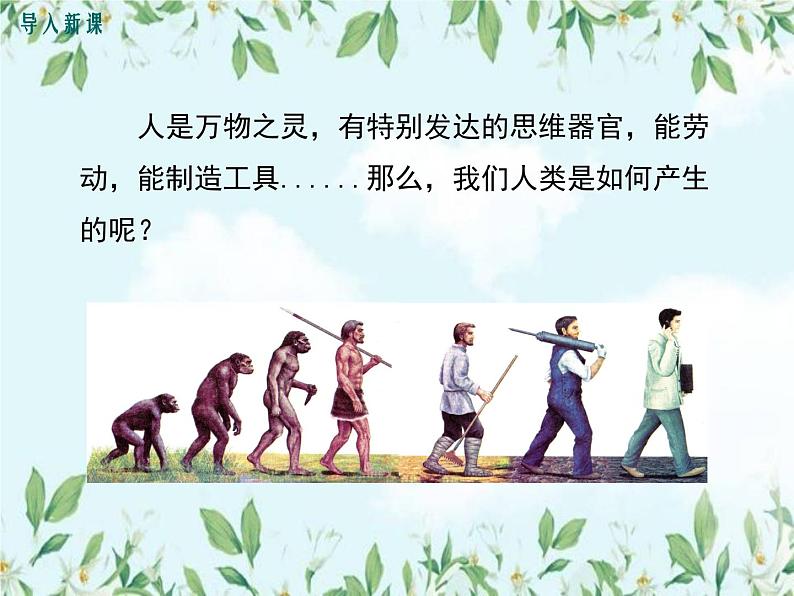 【精选备课】2022年春北师大版生物八下 7.21.3人类的起源与进化（教案+课件+学案+练习）02