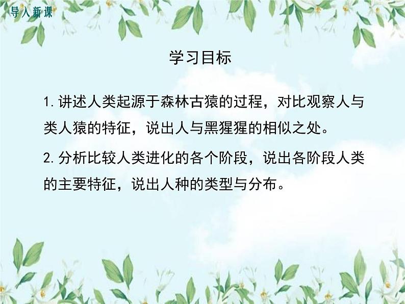 【精选备课】2022年春北师大版生物八下 7.21.3人类的起源与进化（教案+课件+学案+练习）03