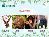 【精選備課】2022年春北師大版生物八下 7.21.3人類的起源與進化（教案+課件+學案+練習）