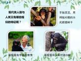 【精選備課】2022年春北師大版生物八下 7.21.3人類的起源與進化（教案+課件+學案+練習）