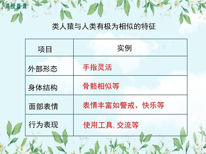【精选备课】2022年春北师大版生物八下 7.21.3人类的起源与进化（教案+课件+学案+练习）07