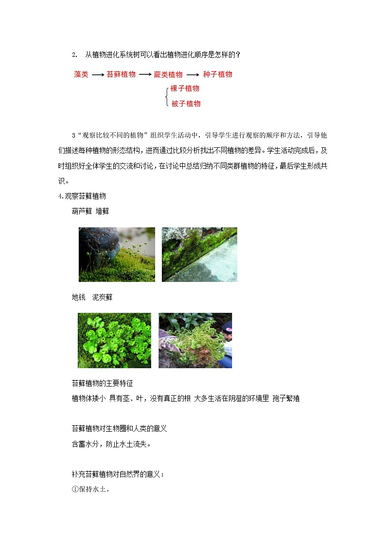 7.22.3植物的主要类群（教案）第2页