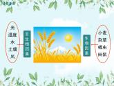 【精选备课】2022年春北师大版生物八下 8.23.1生物的生存依赖一定的环境（教案+课件+学案+练习）