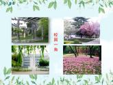 【精选备课】2022年春北师大版生物八下 8.23.2生态系统概述（教案+课件+学案+练习）