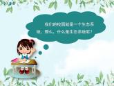 【精选备课】2022年春北师大版生物八下 8.23.2生态系统概述（教案+课件+学案+练习）