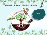 【精选备课】2022年春北师大版生物八下 8.23.3生态系统的结构和功能（教案+课件+学案+练习）