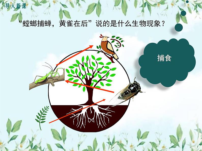 【精选备课】2022年春北师大版生物八下 8.23.3生态系统的结构和功能（教案+课件+学案+练习）02