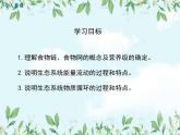 【精选备课】2022年春北师大版生物八下 8.23.3生态系统的结构和功能（教案+课件+学案+练习）