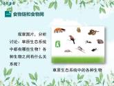 【精选备课】2022年春北师大版生物八下 8.23.3生态系统的结构和功能（教案+课件+学案+练习）